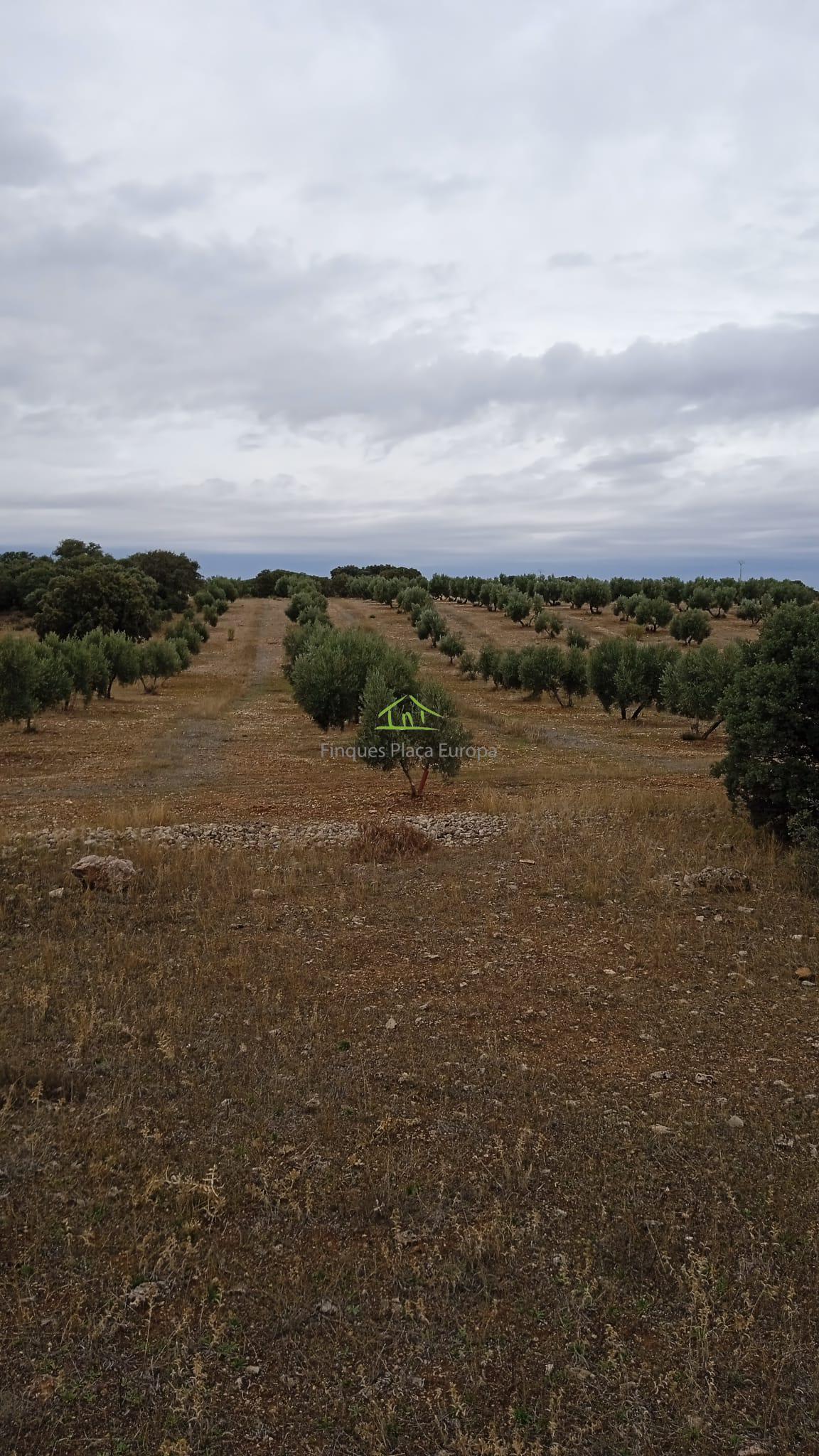 Vente de terrain dans Ciudad Real