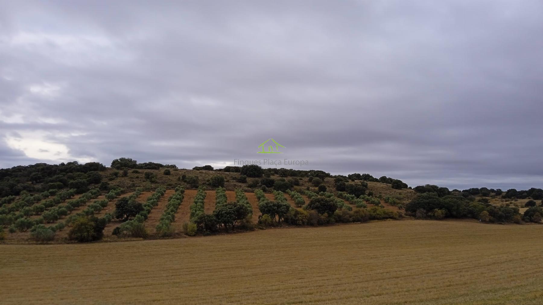 Vente de terrain dans Ciudad Real