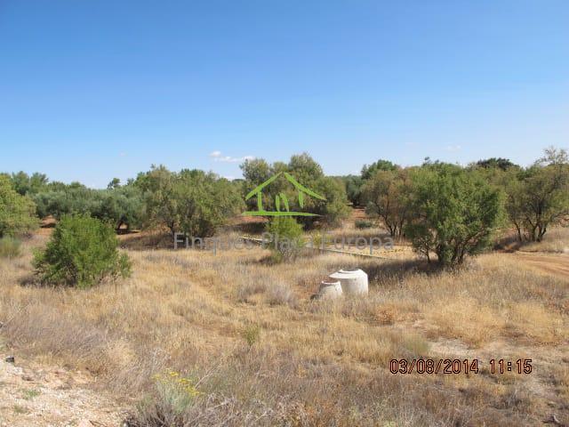 Vente de terrain dans Ciudad Real