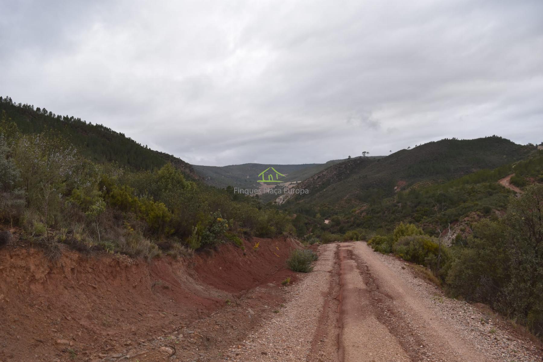 For sale of land in Cuenca