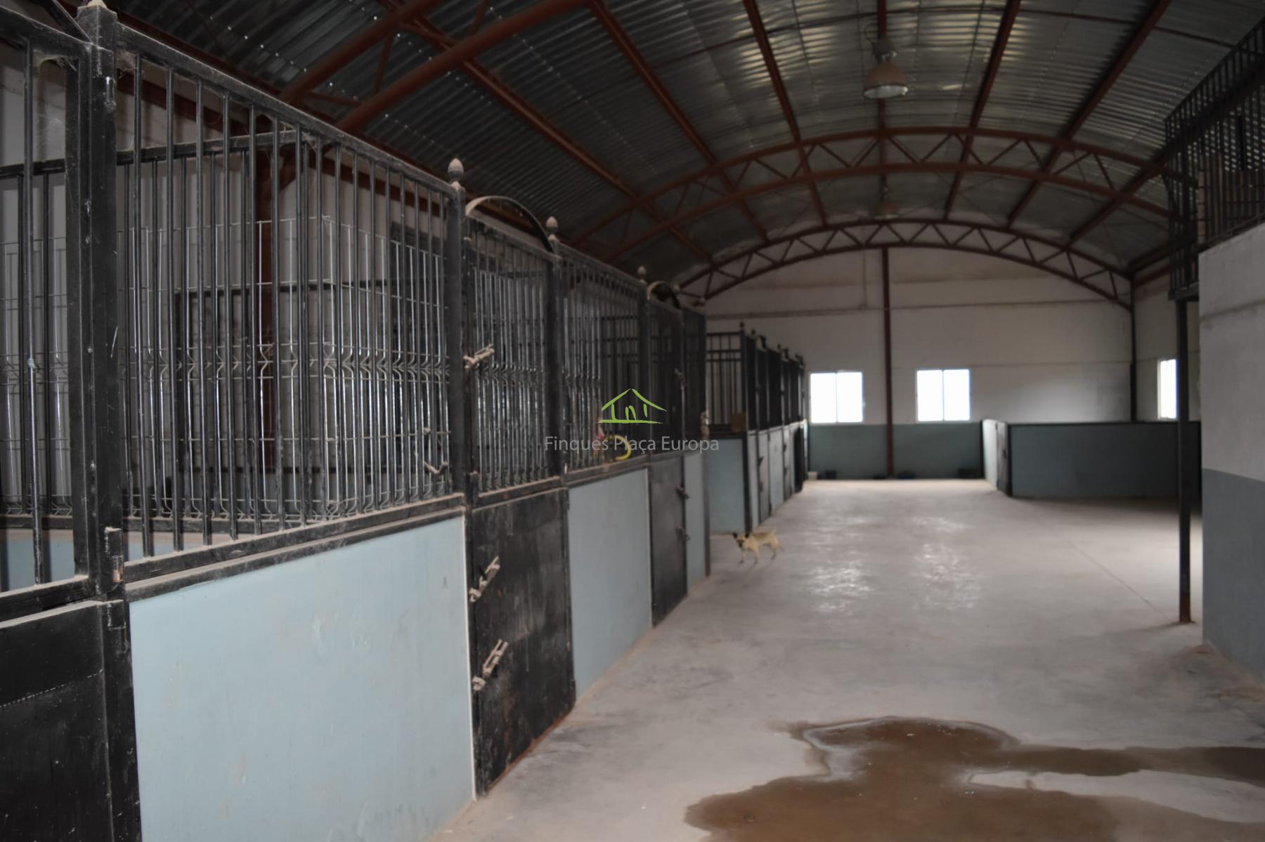 For sale of land in Cuenca