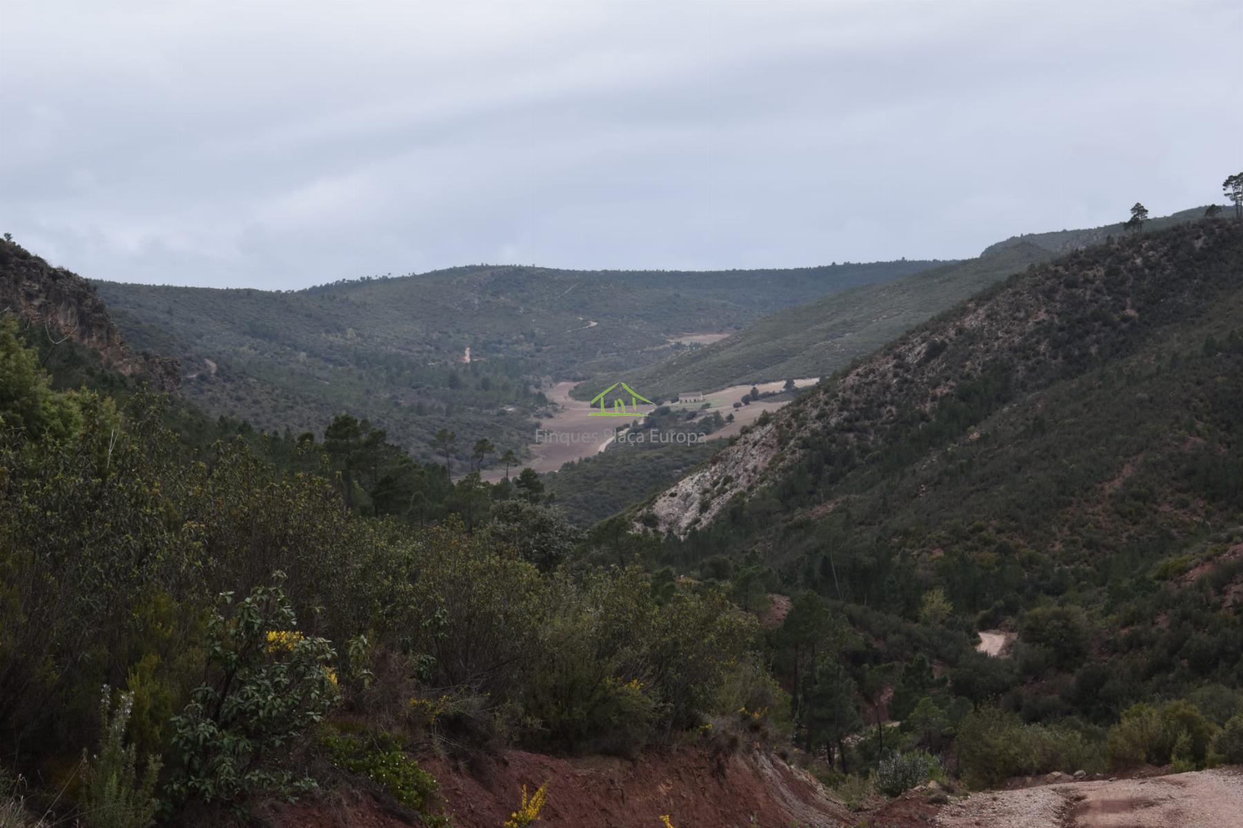 For sale of land in Cuenca