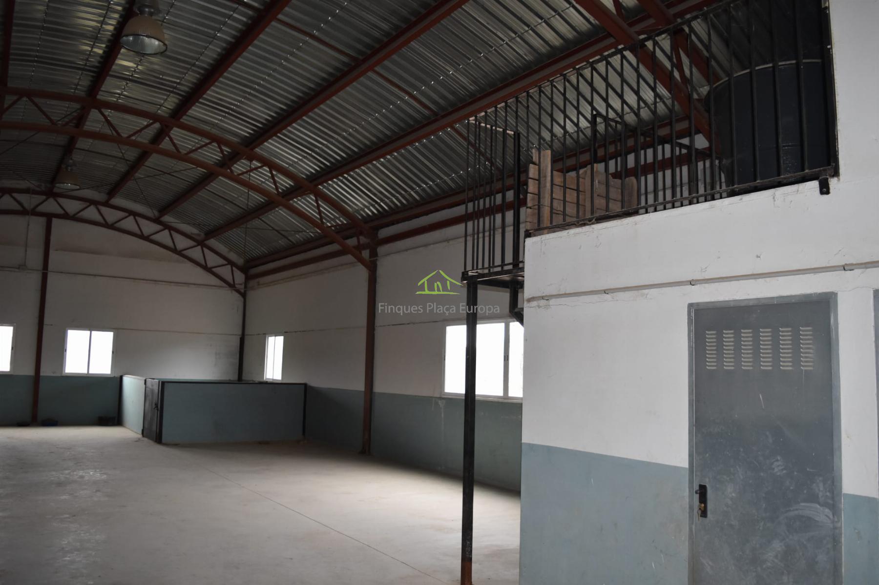 For sale of land in Cuenca