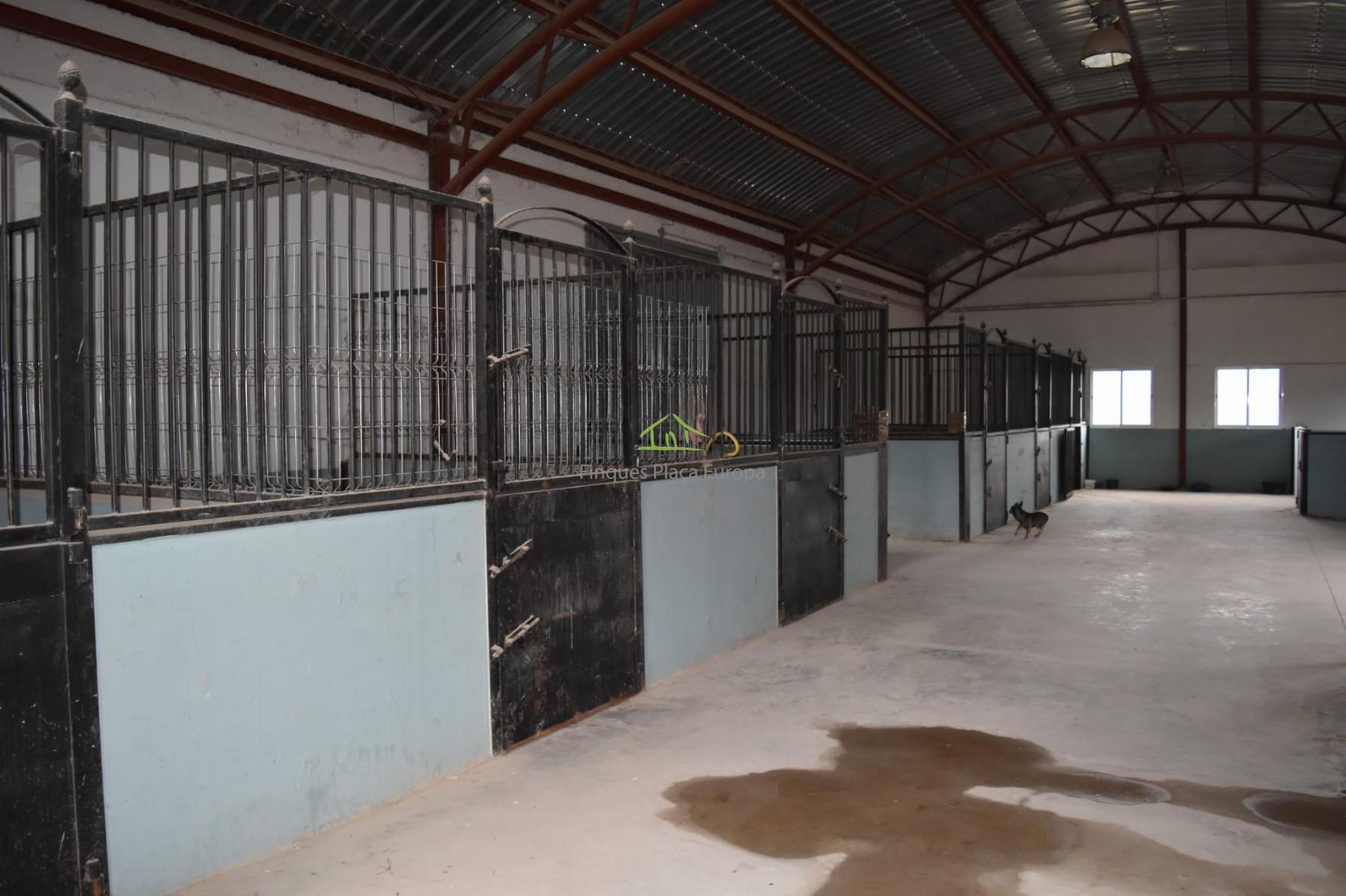 For sale of land in Cuenca