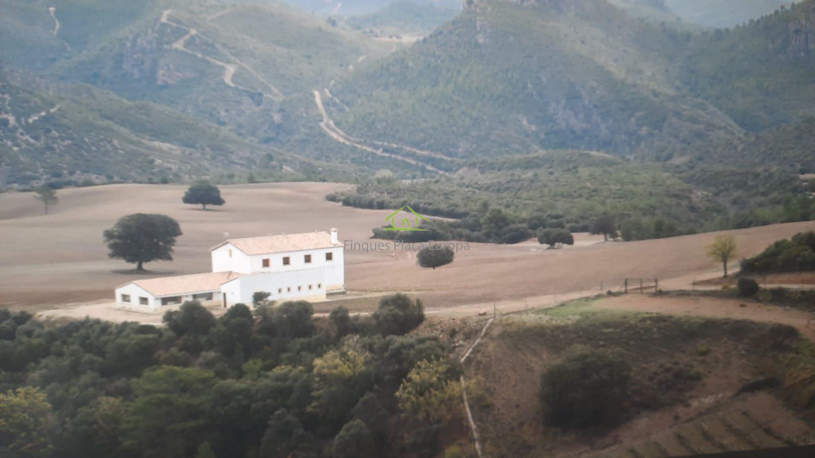 For sale of land in Cuenca