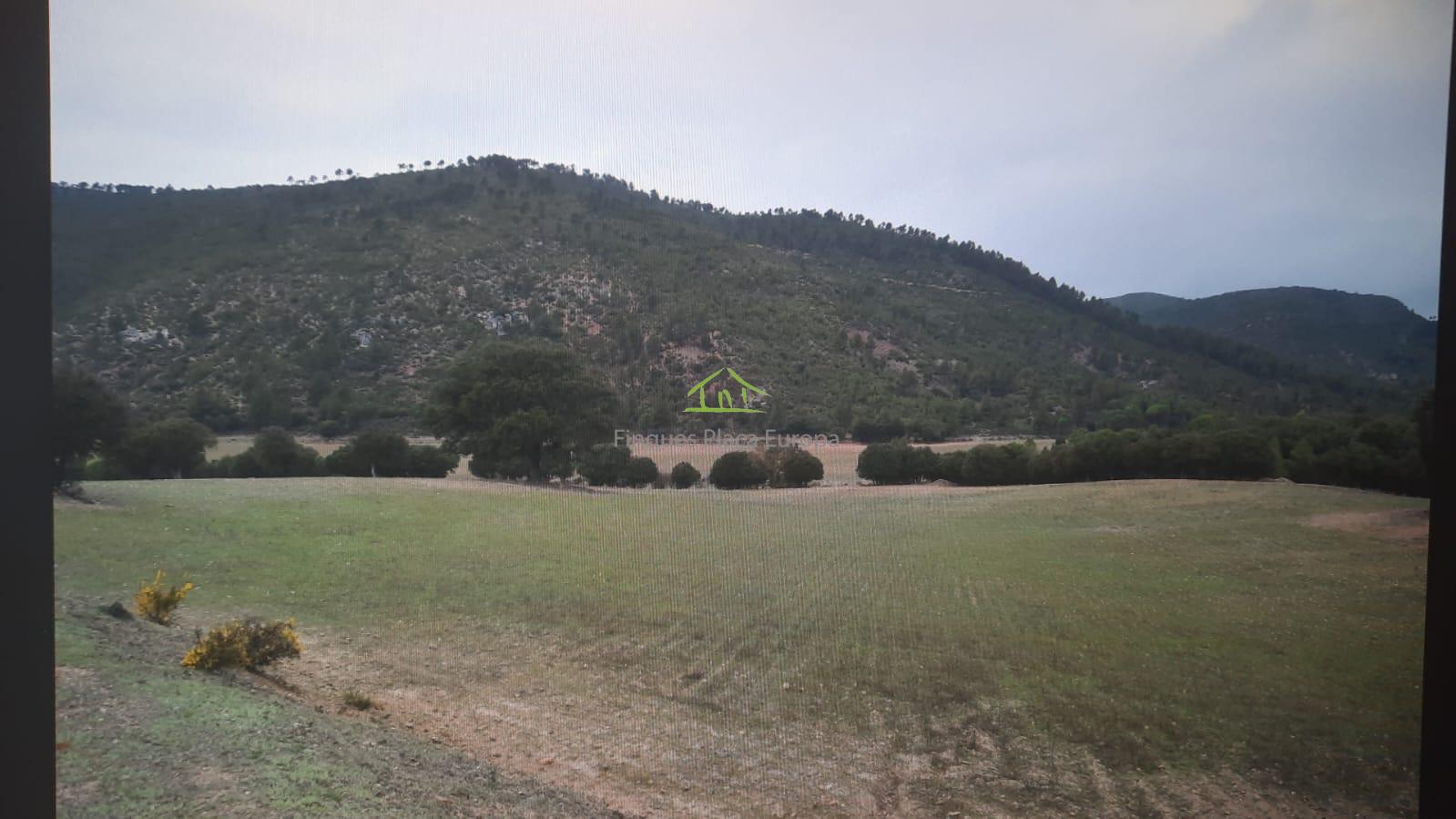 For sale of land in Cuenca