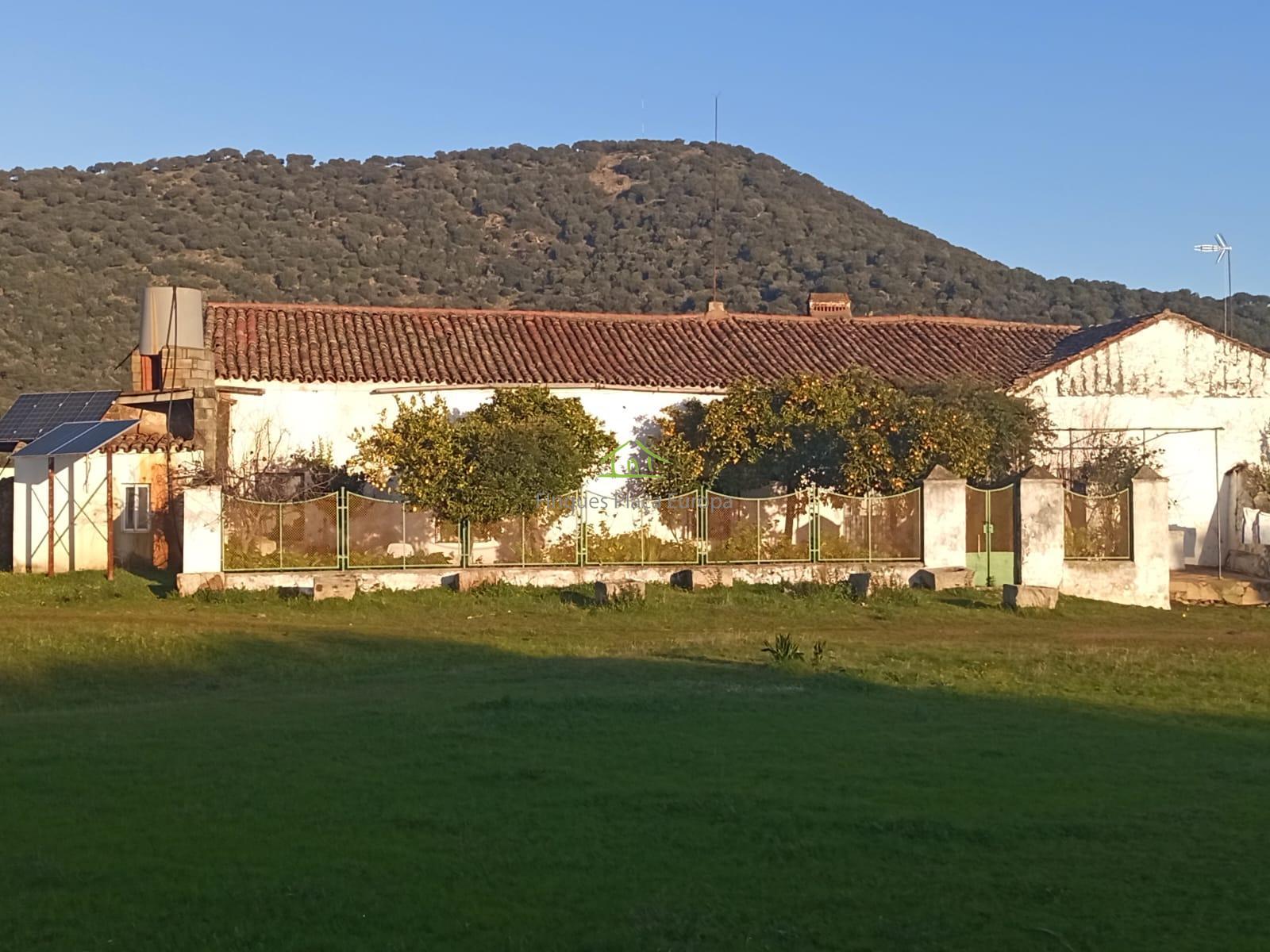 For sale of land in Ibahernando