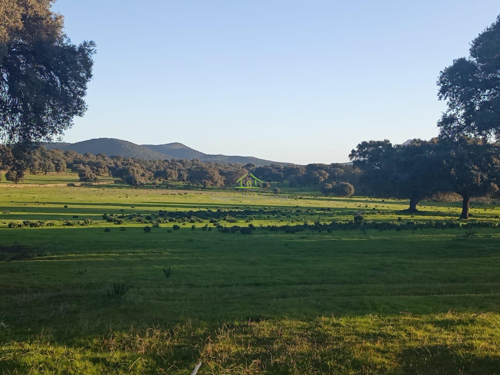 For sale of land in Ibahernando