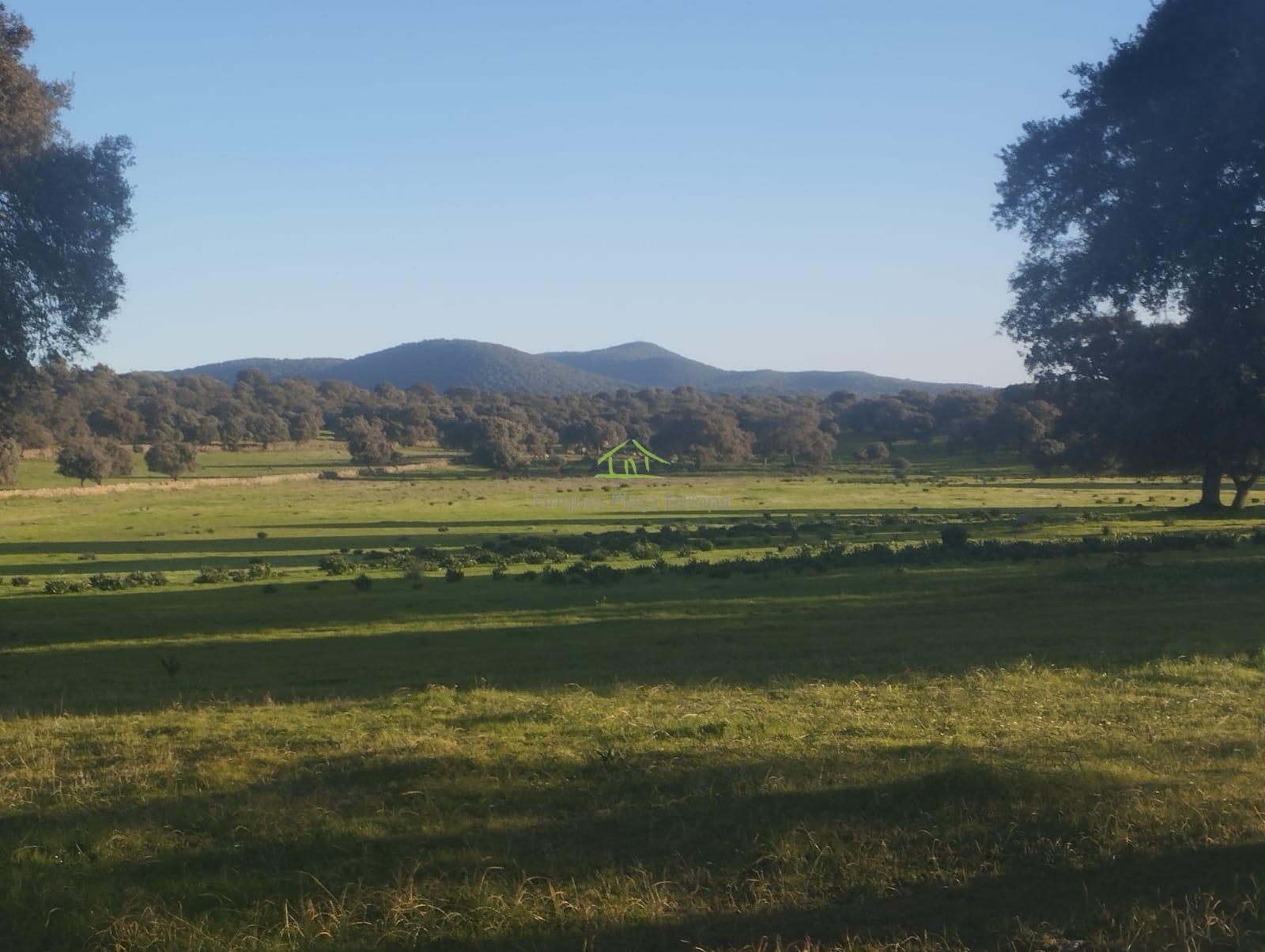 For sale of land in Ibahernando