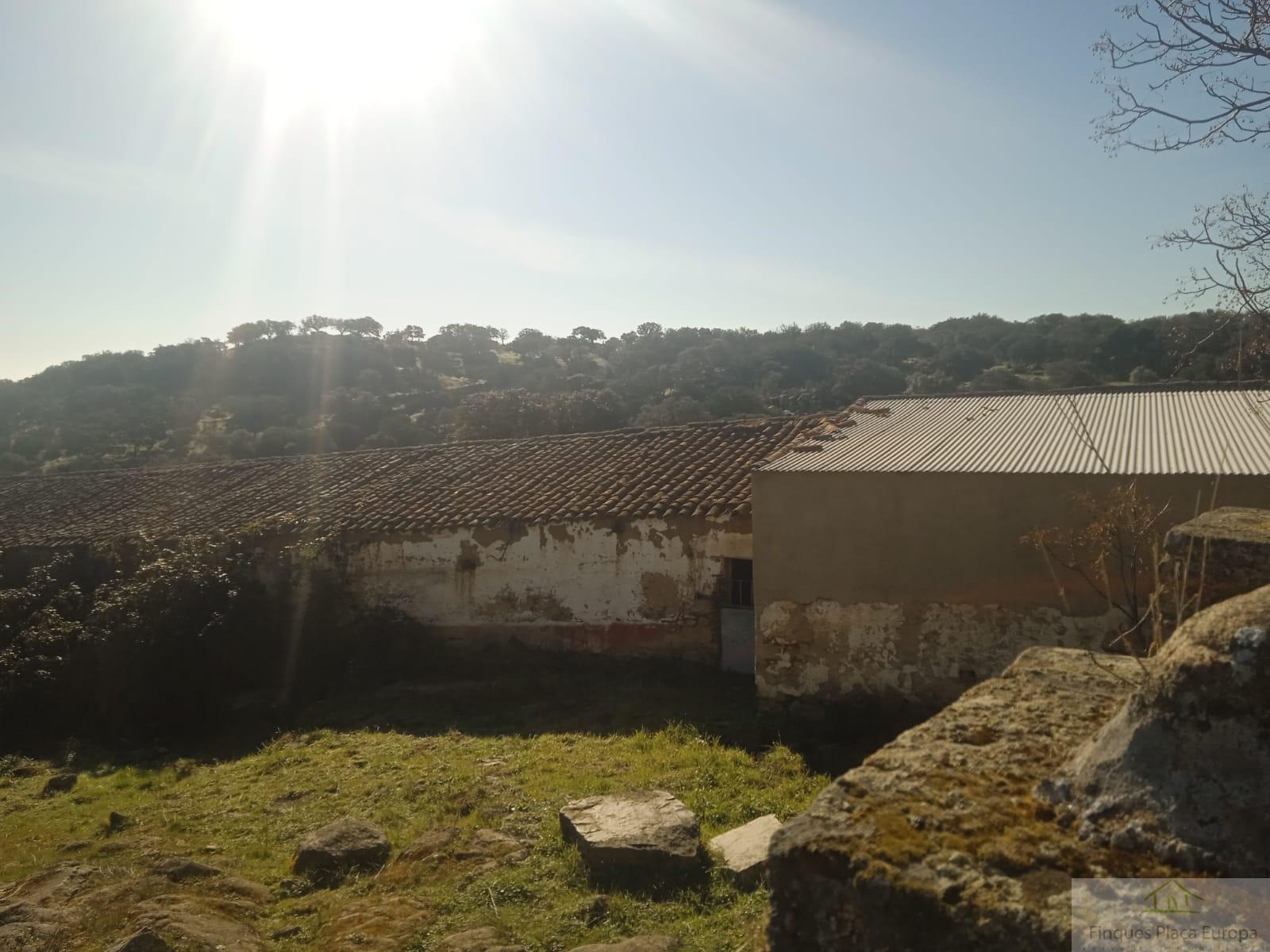Venda de terreny a Fregenal de la Sierra