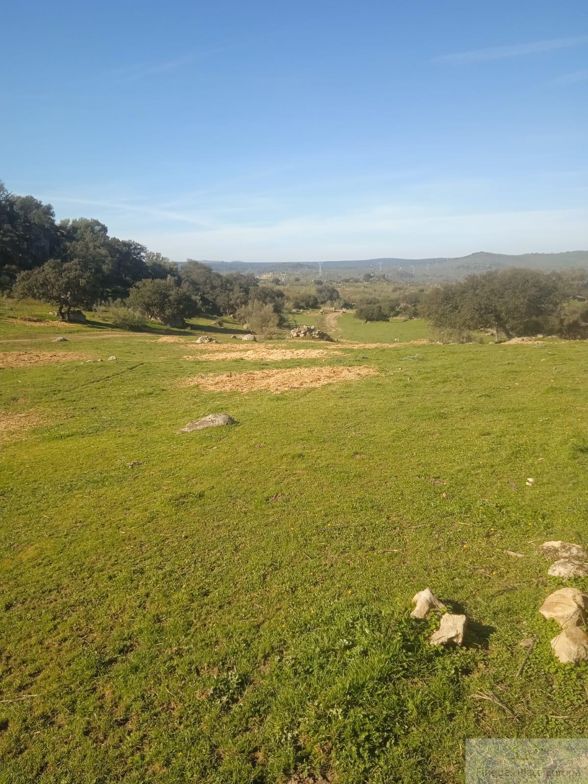 Venda de terreny a Fregenal de la Sierra
