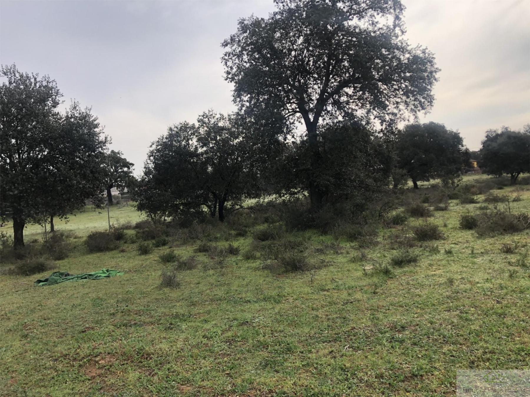 For sale of land in Maguilla