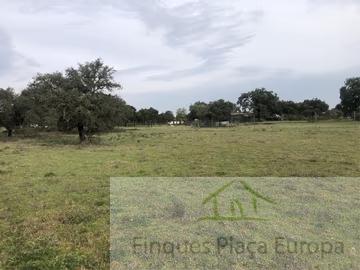 For sale of land in Maguilla