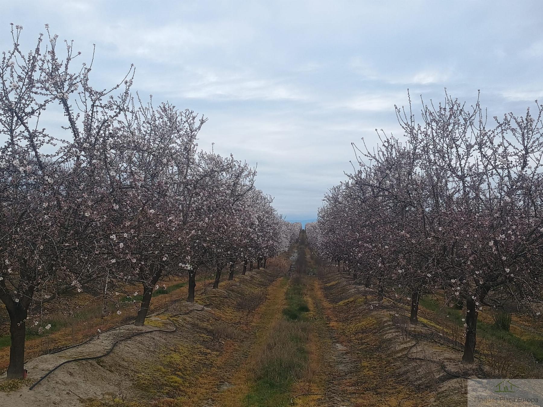Venta de terreno en Saucedilla