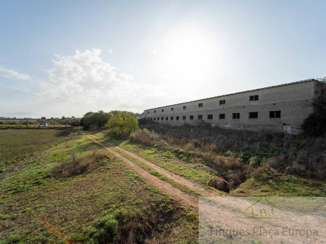 Vente de terrain dans Madrigal de la Vera