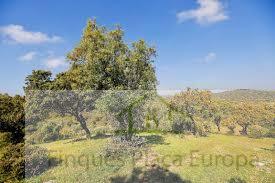 Vente de terrain dans Madrigal de la Vera