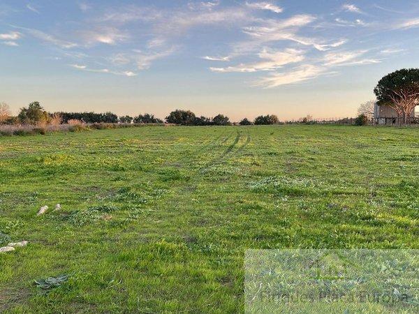 Vente de terrain dans Madrigal de la Vera