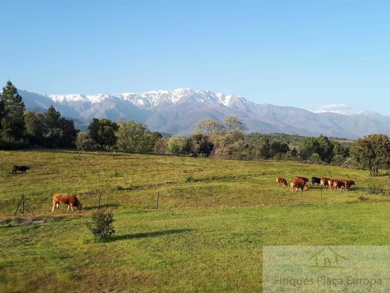 Vente de terrain dans Madrigal de la Vera