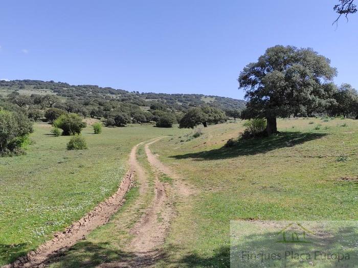 Vente de terrain dans Madrigal de la Vera