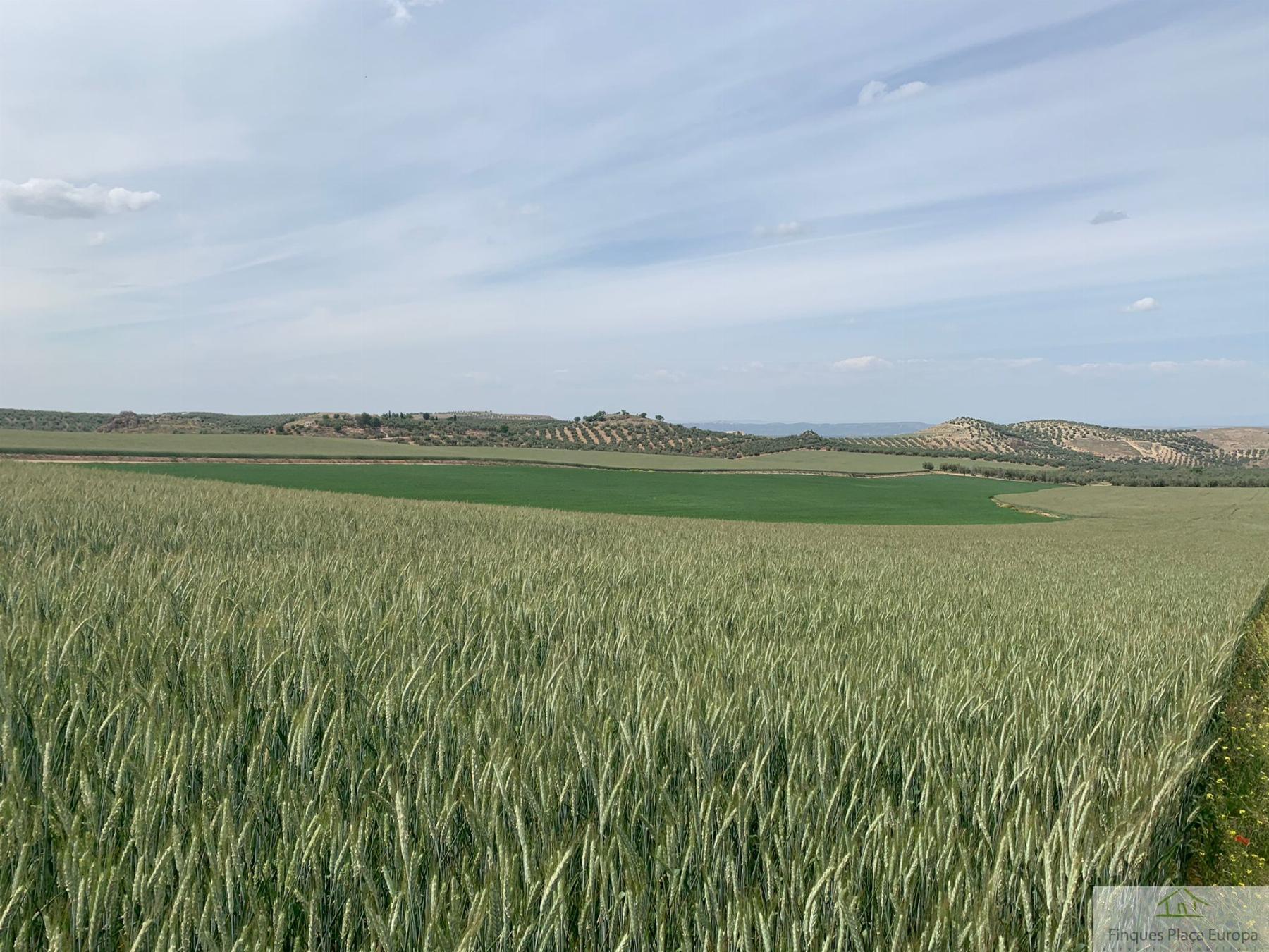 Venta de terreno en Jaén