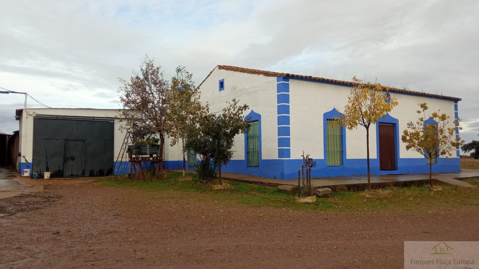 Venda de terreny a Torre de Miguel Sesmero