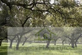 For sale of land in Majadas