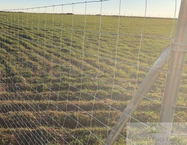For sale of land in Moraleja