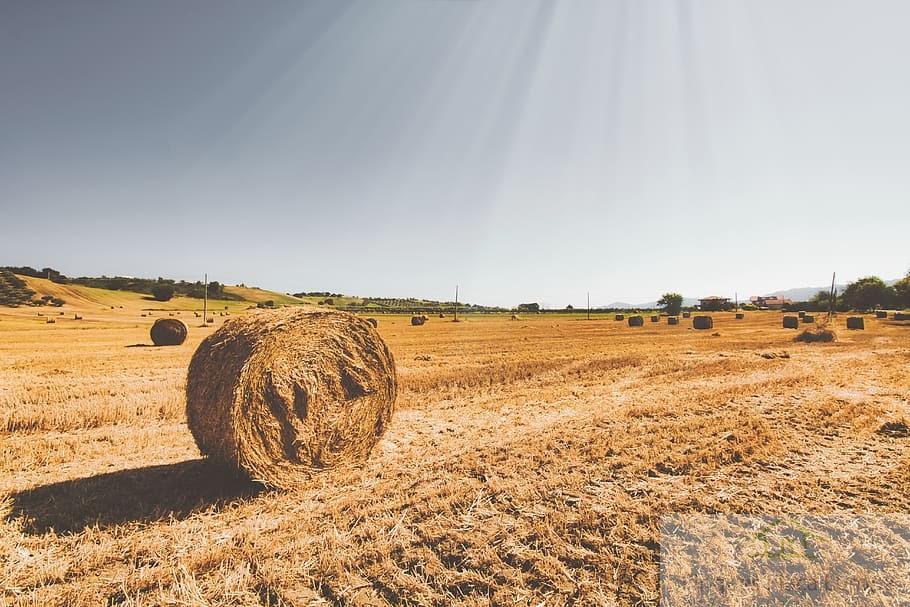 Vente de terrain dans Montejícar