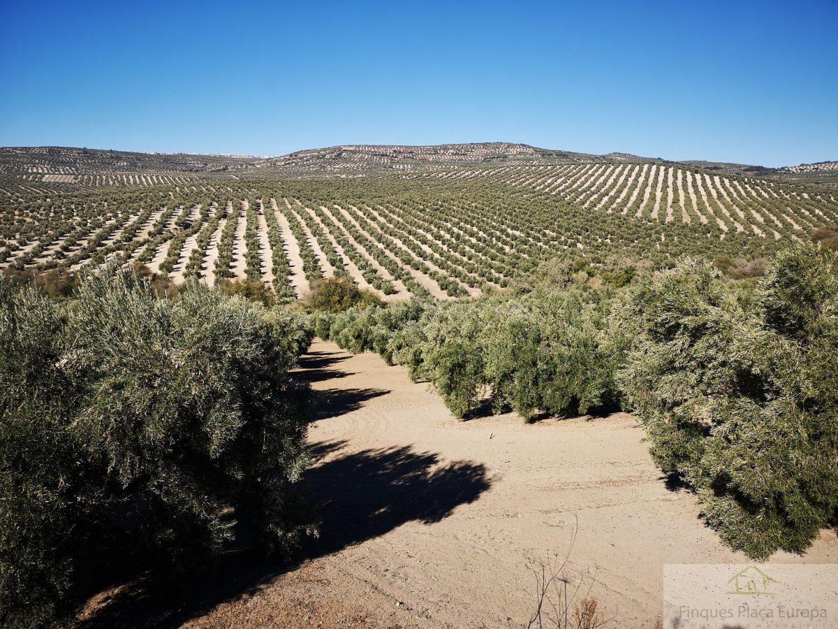 Venta de terreno en Cáceres