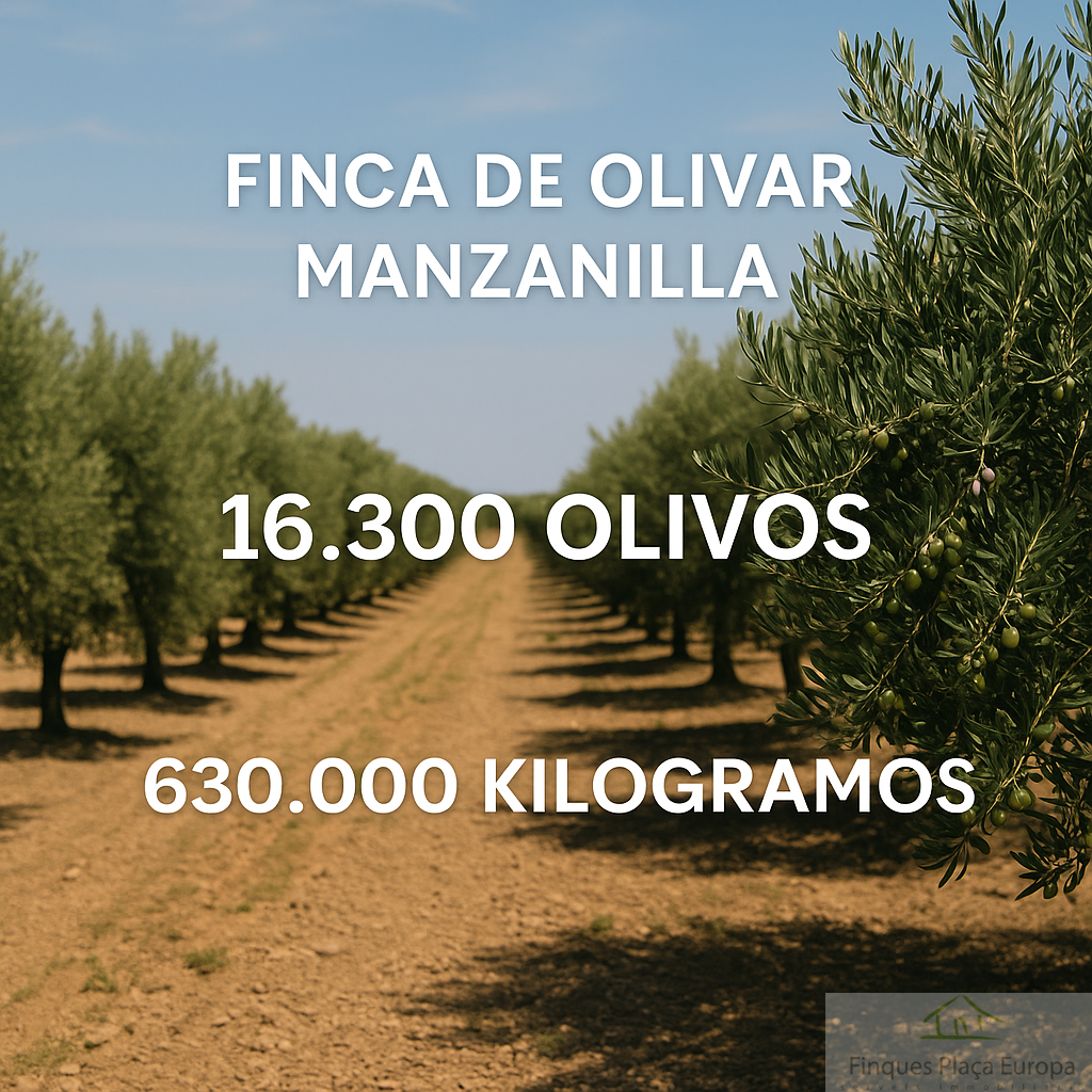Vente de terrain dans La Albuera