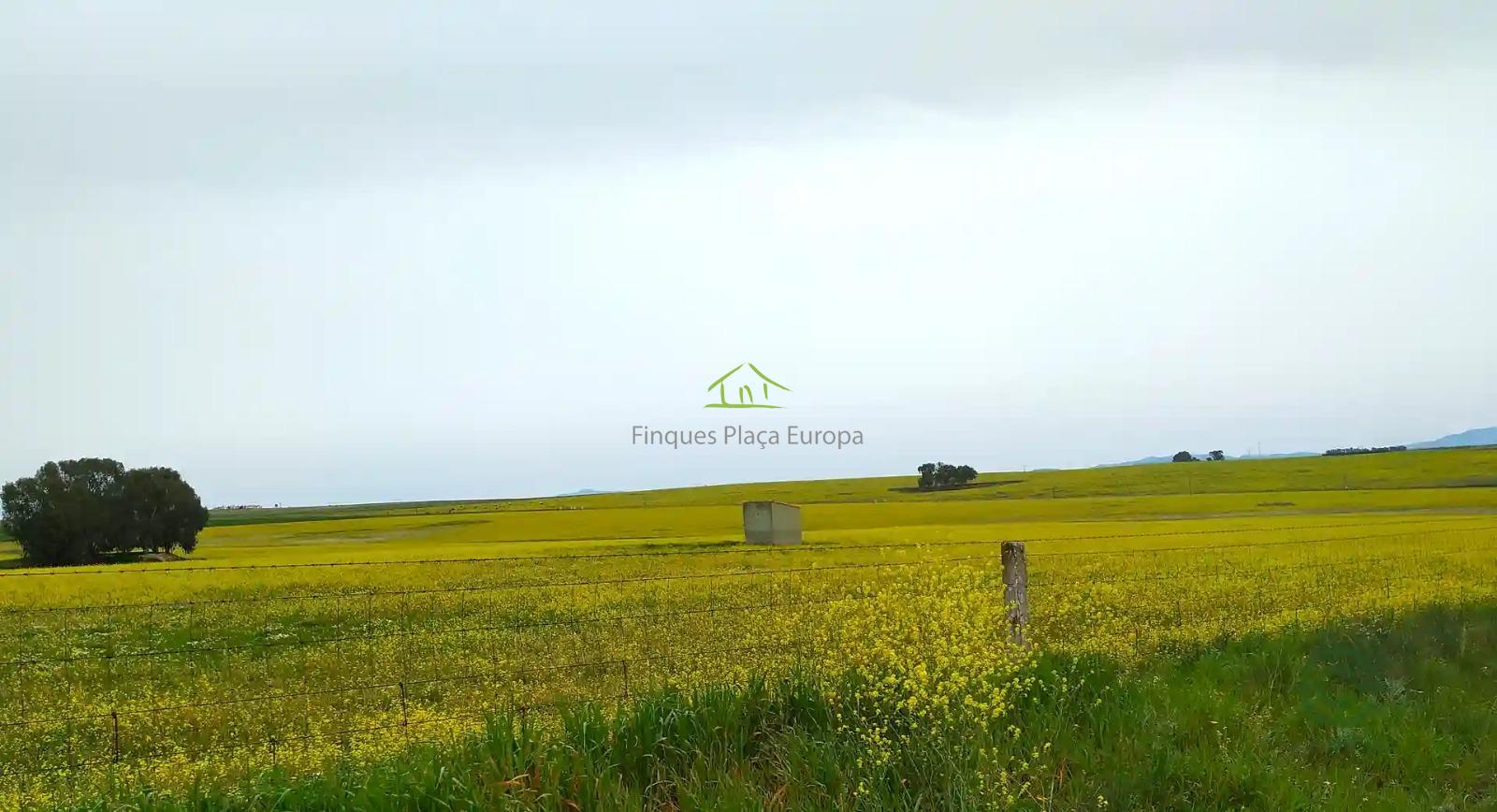 Venta de terreno en Cáceres