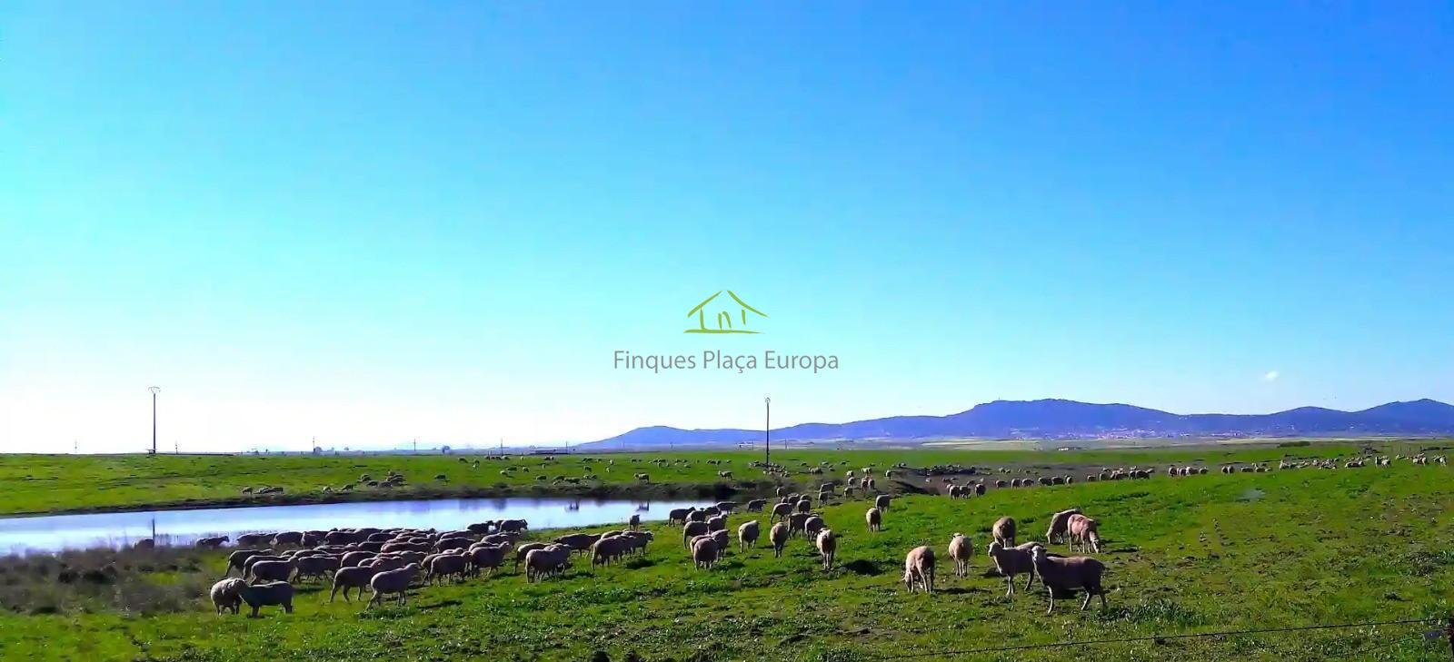 Venta de terreno en Cáceres