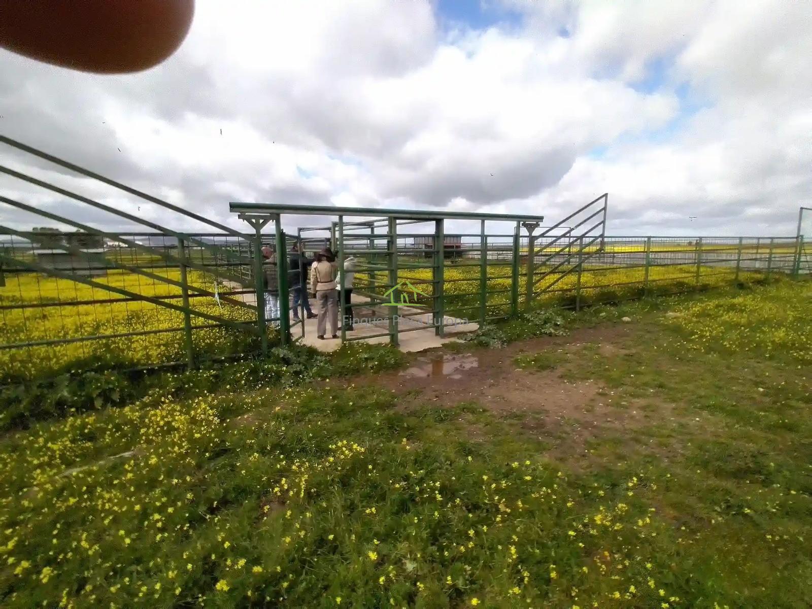 Venta de terreno en Cáceres
