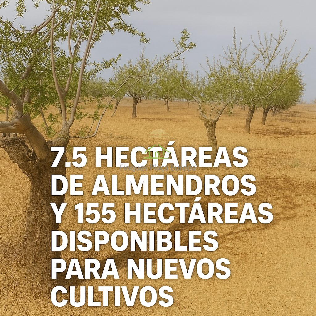 Venta de terreno en Castro Marim