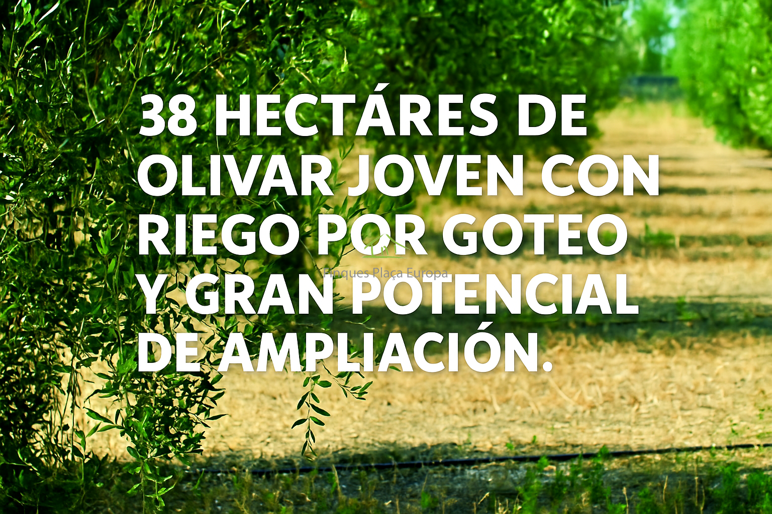 Venta de terreno en Castro Marim