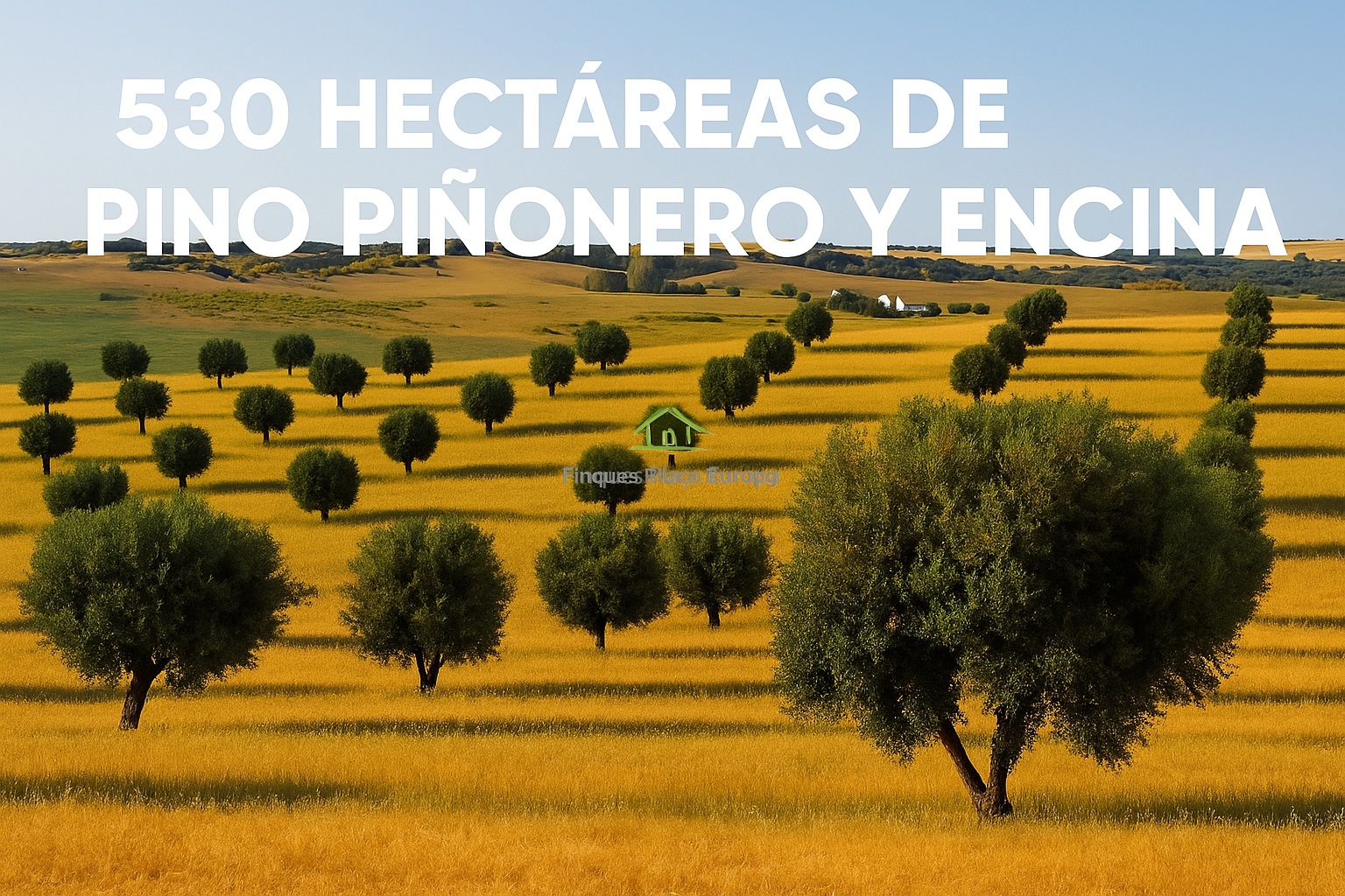 Venta de terreno en Castro Marim