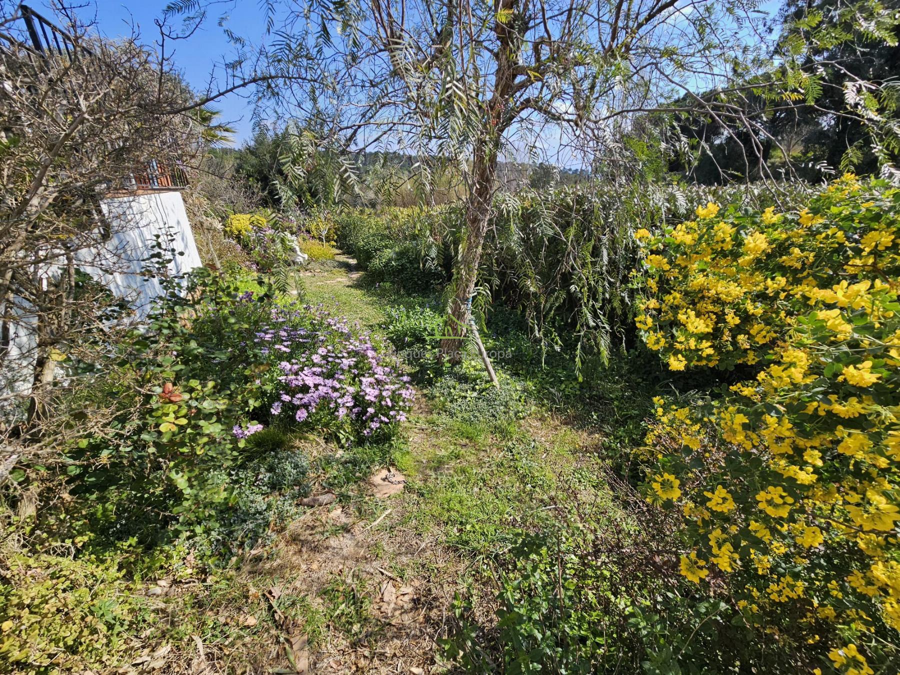 Venta de casa en Platja d´Aro