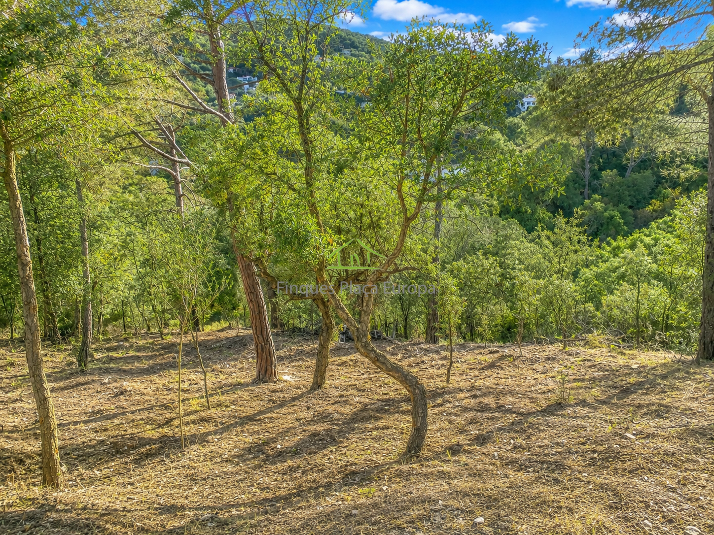 Venta de terreno en Calonge