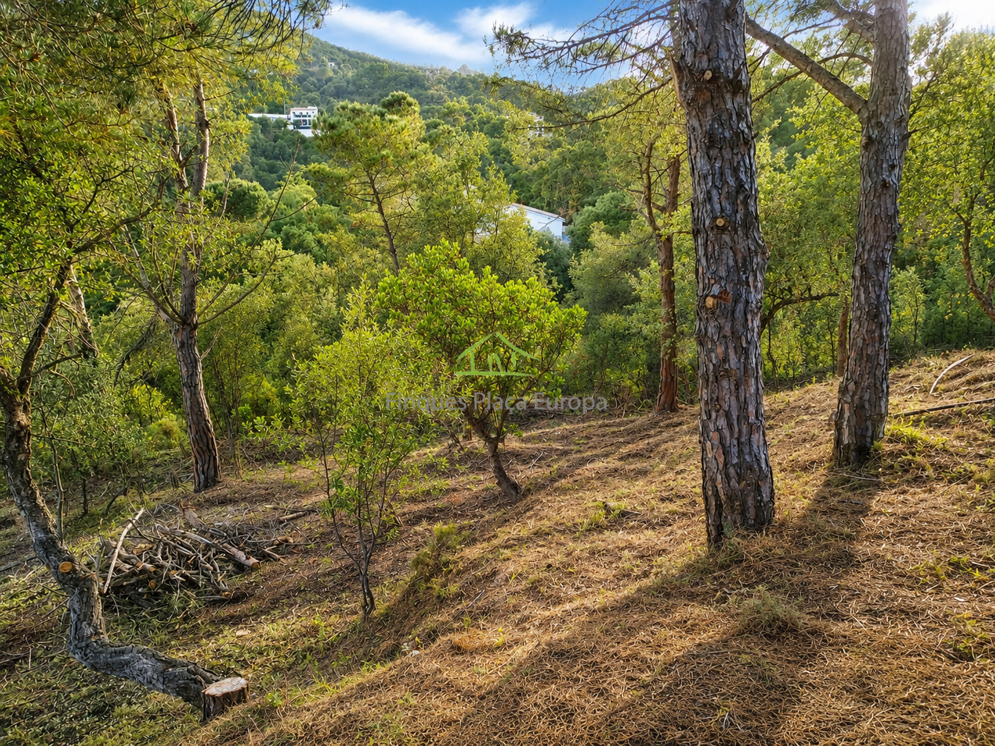 Venta de terreno en Calonge