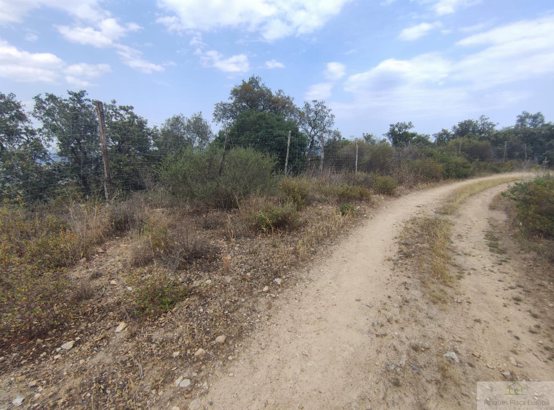 For sale of land in Castell d´Aro