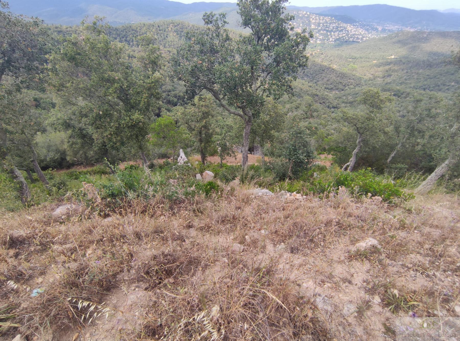 For sale of land in Castell d´Aro