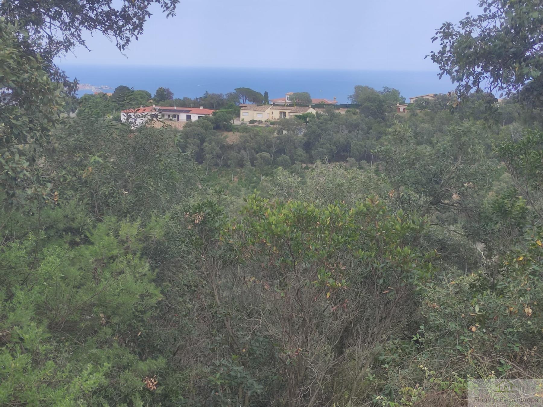 For sale of land in Castell d´Aro