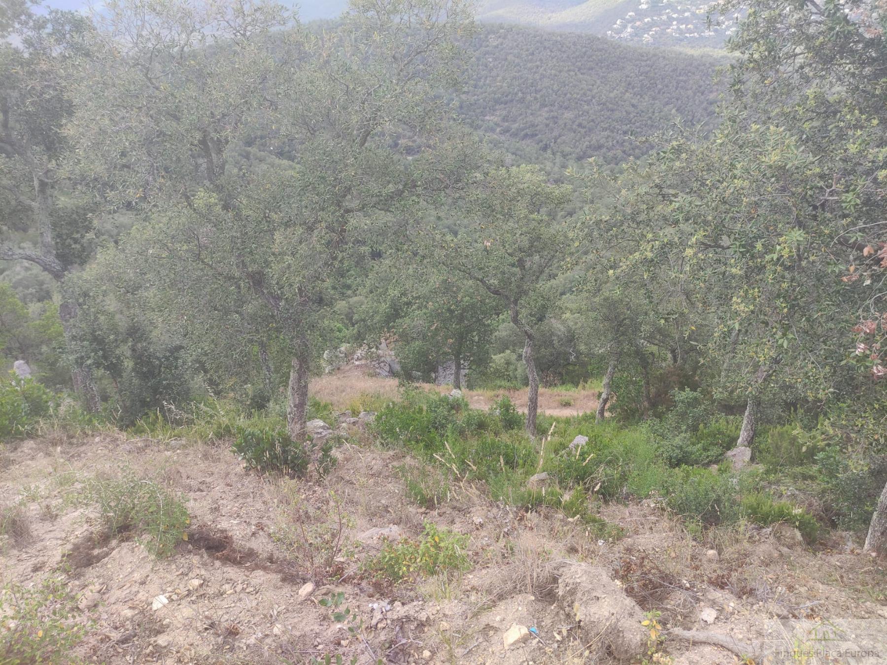 For sale of land in Castell d´Aro