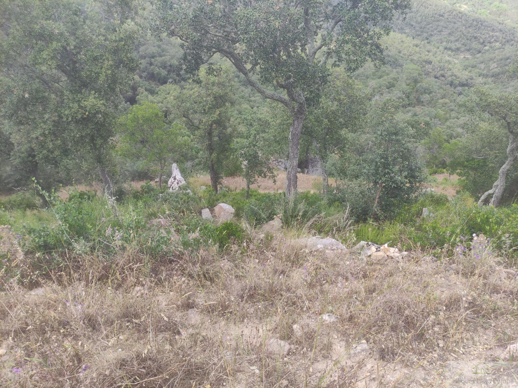 For sale of land in Castell d´Aro