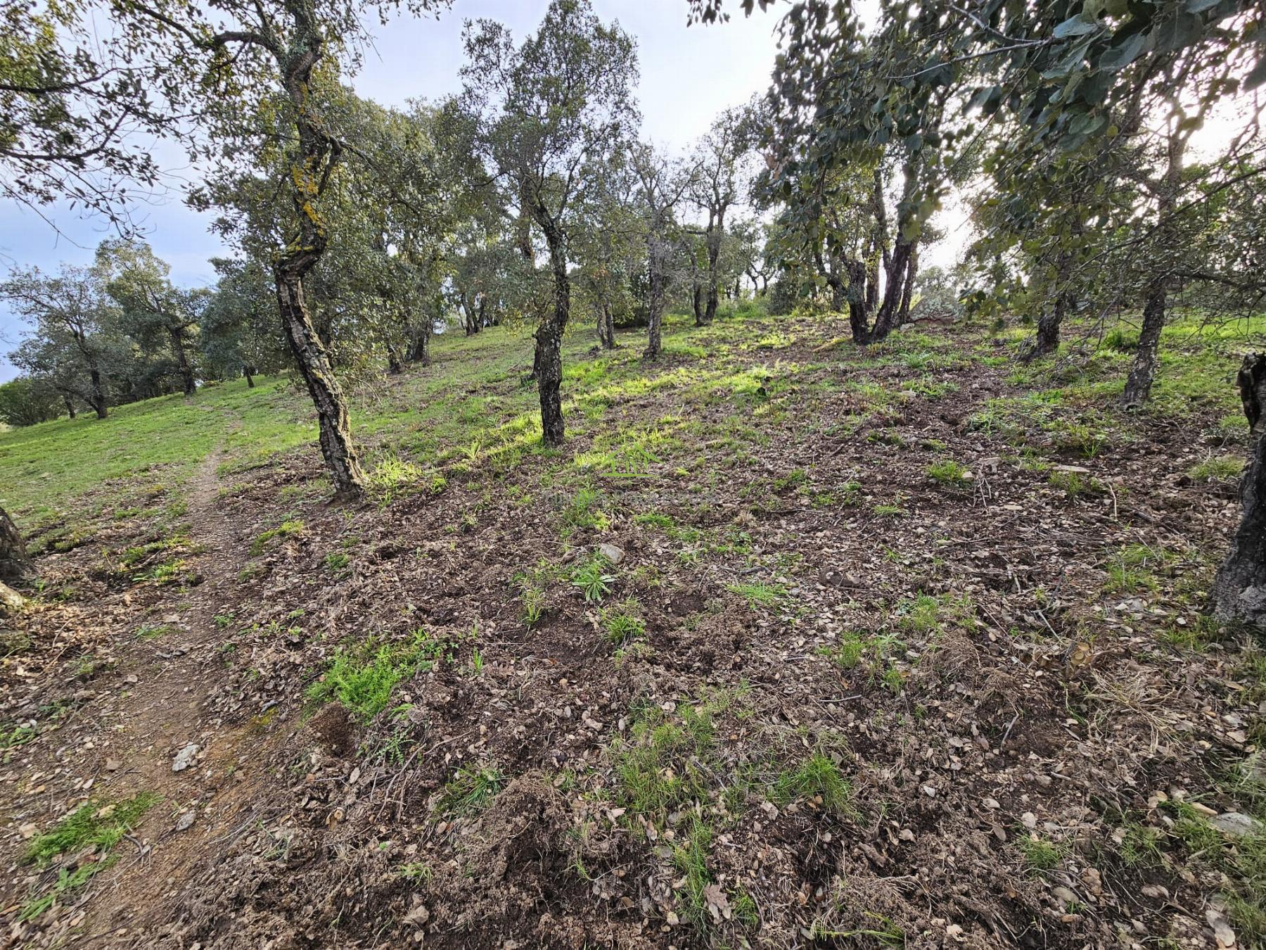 For sale of land in Platja d´Aro