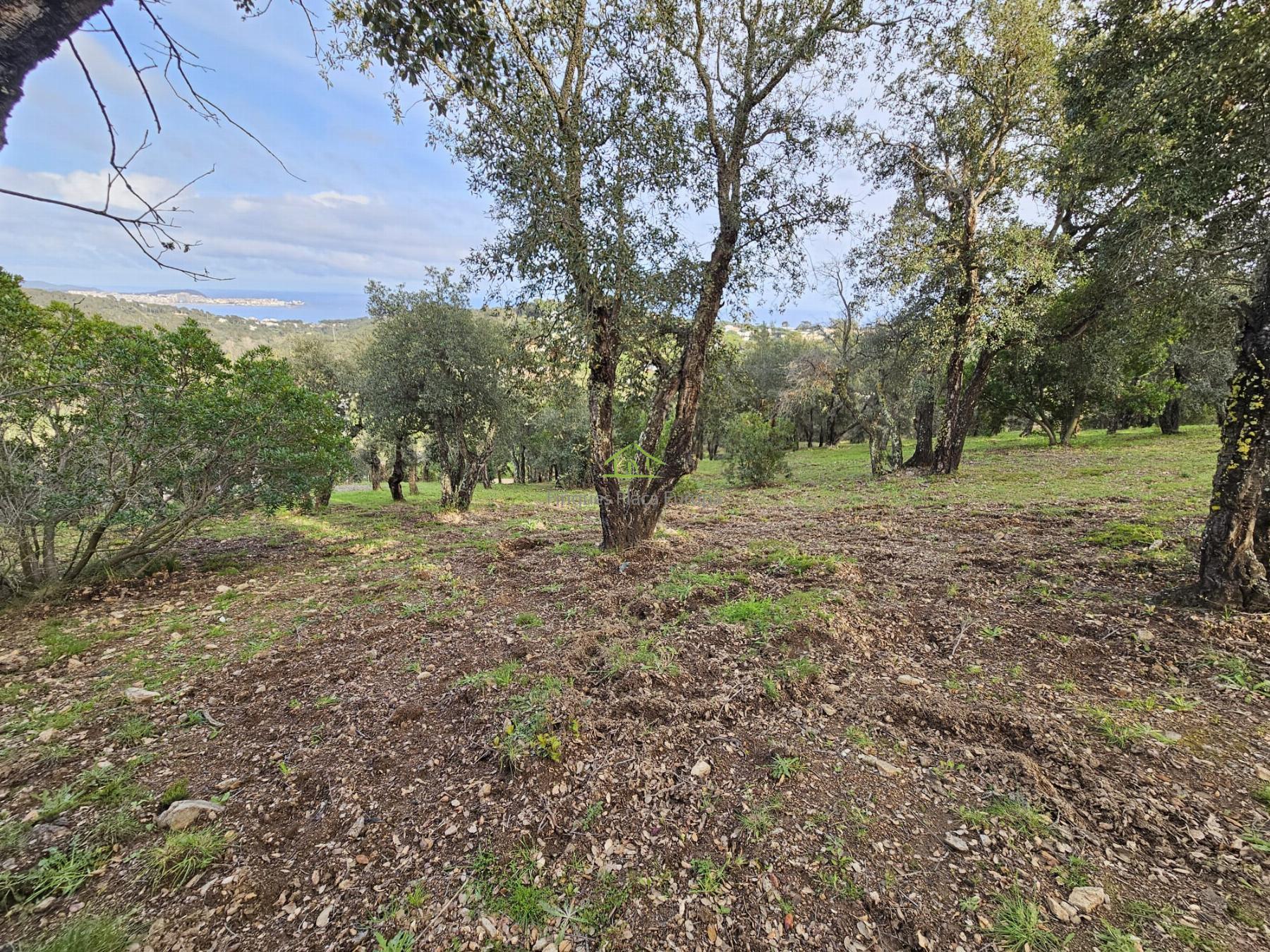 For sale of land in Platja d´Aro