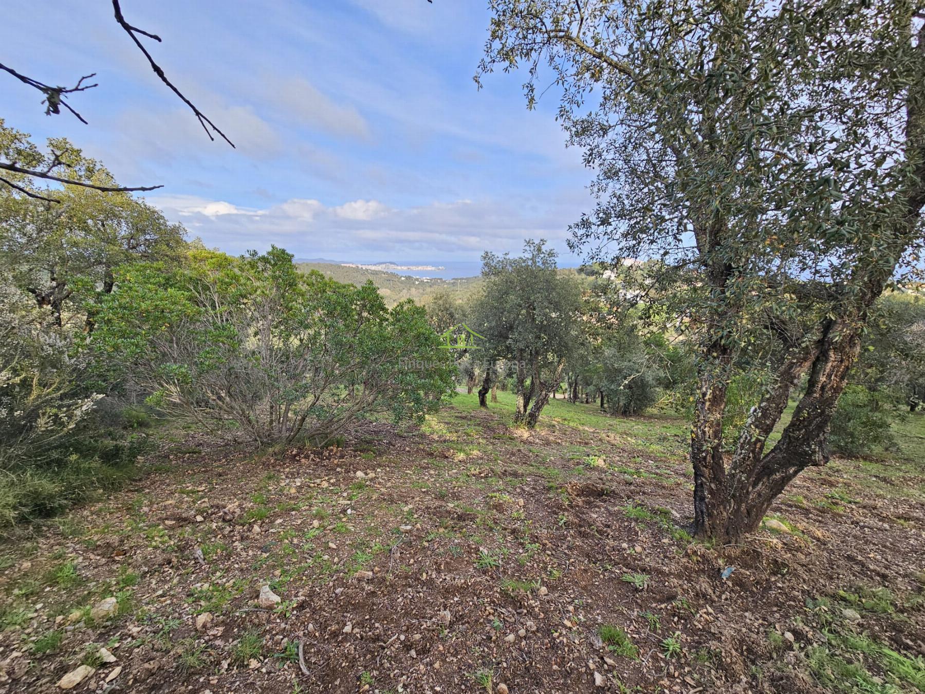 For sale of land in Platja d´Aro