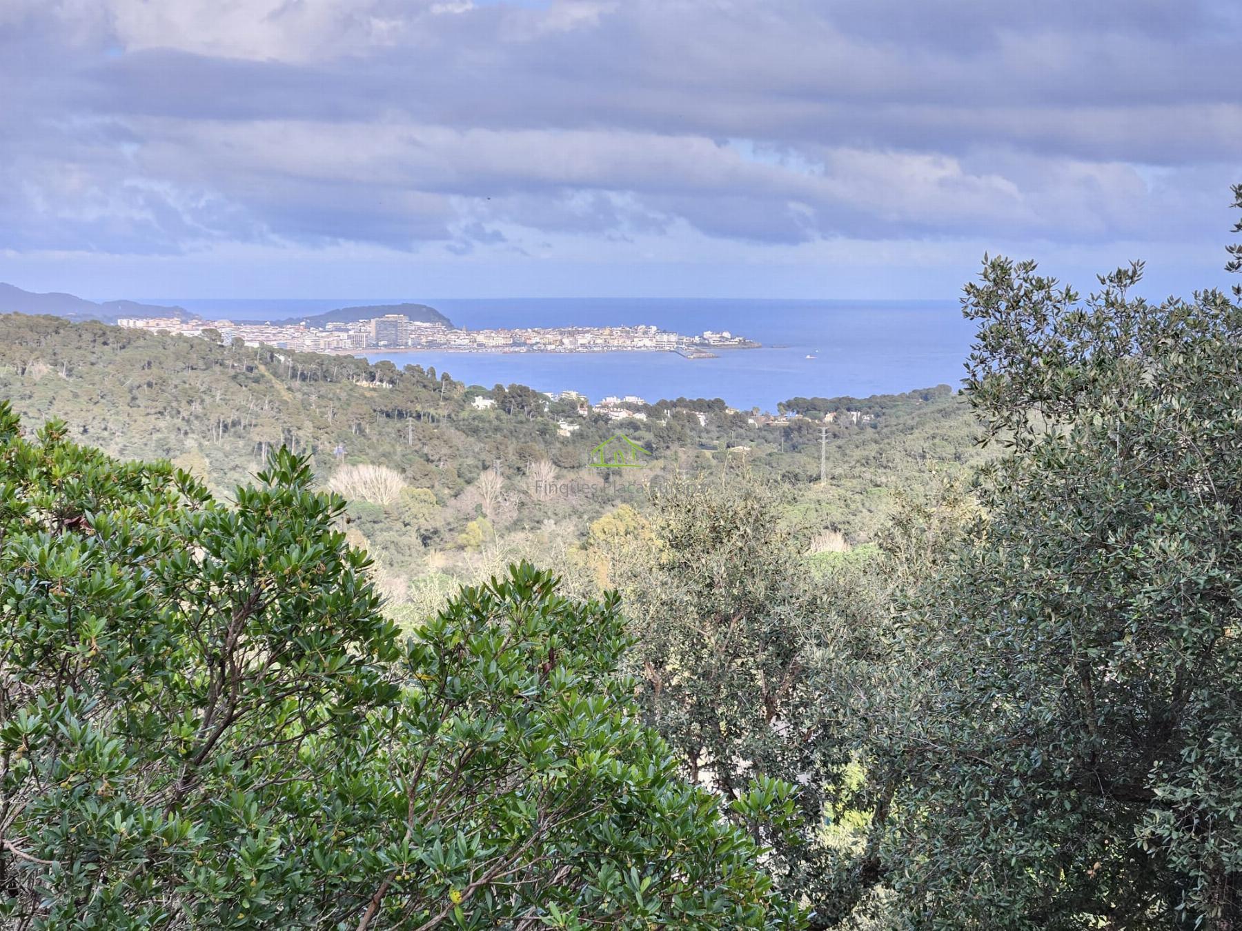 Venta de terreno en Platja d´Aro Venta de terreno en Platja d´Aro