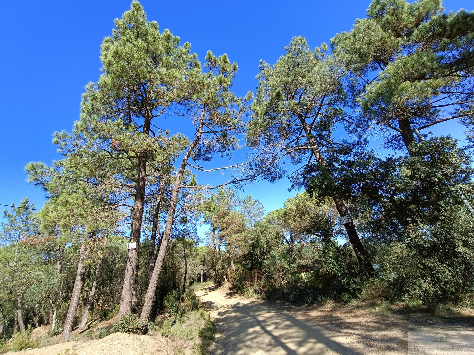 Vente de maison dans Girona