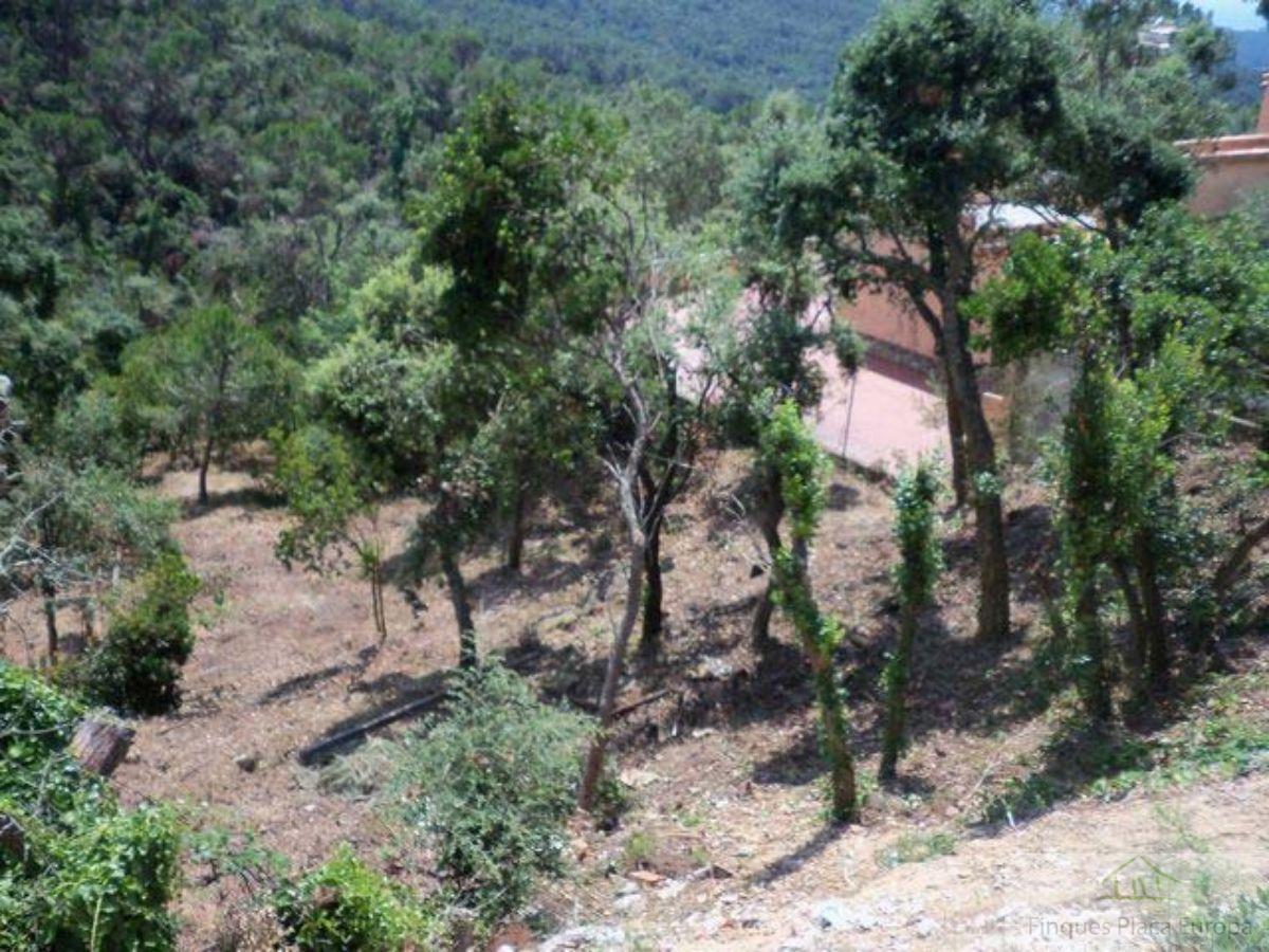 For sale of land in Santa Cristina D´aro